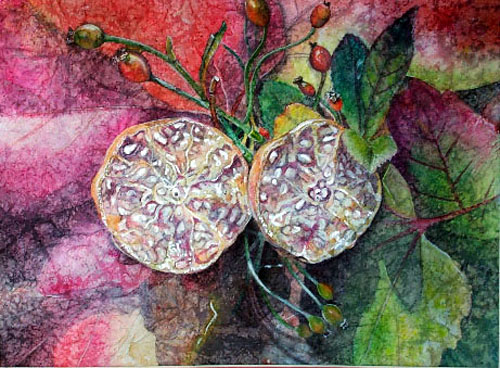 Pomegranates in Still Life Study